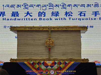 玉智基尼斯世界纪录2.jpg
