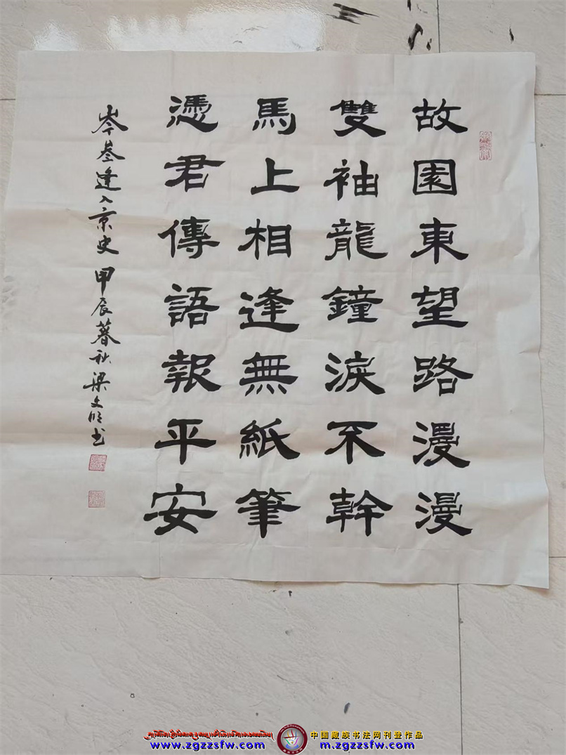 迭部县书画展2025年12月 (4).jpg