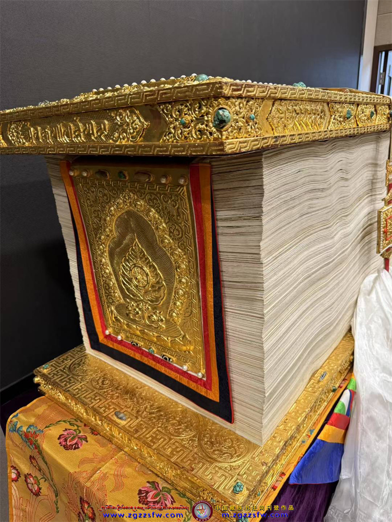 玉智基尼斯世界纪录1.jpg