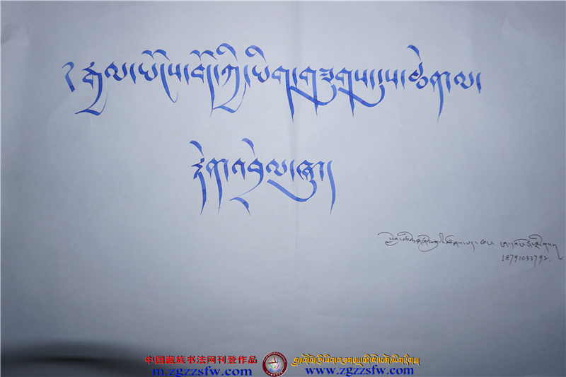  西藏民族大学 (12).jpg